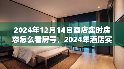 掌握房态信息，2024年酒店实时房态查看攻略与房号信息获取技巧