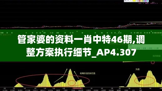 管家婆的资料一肖中特46期,调整方案执行细节_AP4.307