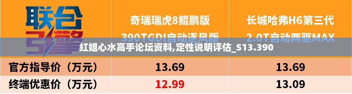 红姐心水高手论坛资料,定性说明评估_S13.390