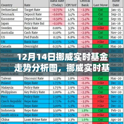 挪威实时基金走势分析图详解，12月14日走势分析与步骤指南