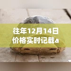 课程 第101页