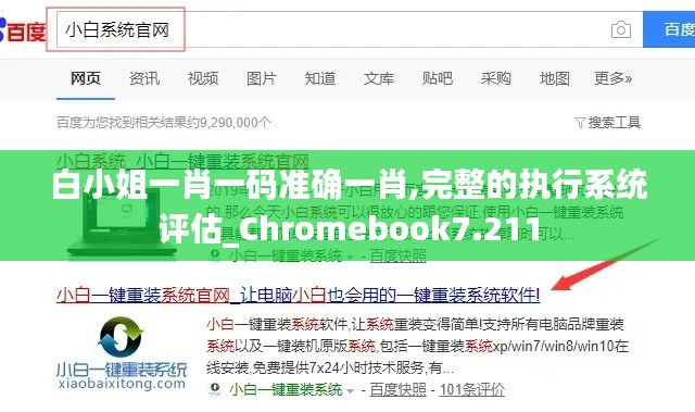 白小姐一肖一码准确一肖,完整的执行系统评估_Chromebook7.211