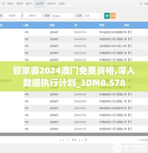 管家婆2024澳门免费资格,深入数据执行计划_3DM8.578