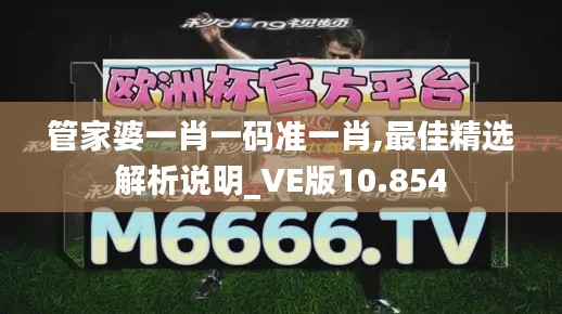 管家婆一肖一码准一肖,最佳精选解析说明_VE版10.854