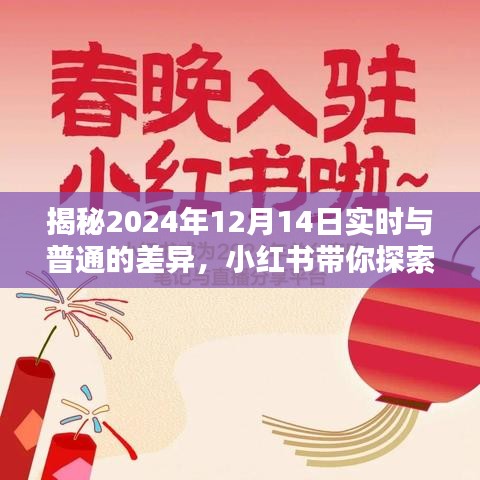 小红书带你探索，2024年12月14日实时体验与日常差异揭秘