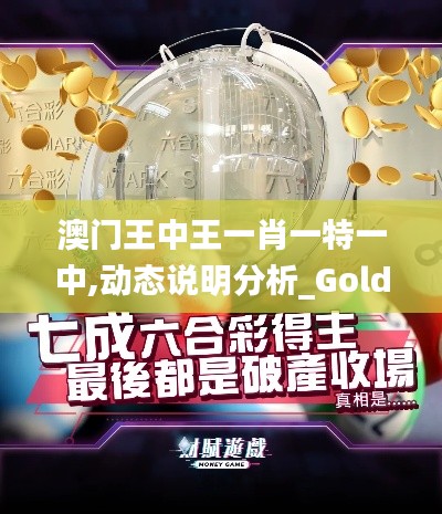 澳门王中王一肖一特一中,动态说明分析_Gold2.561