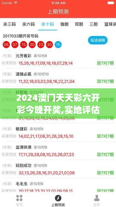 2024澳门天天彩六开彩今晚开奖,实地评估策略数据_创意版18.608