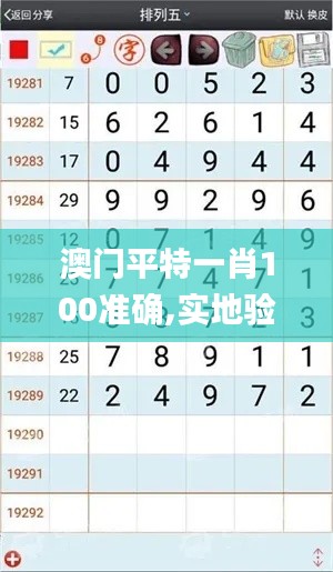 澳门平特一肖100准确,实地验证分析_复古款6.861