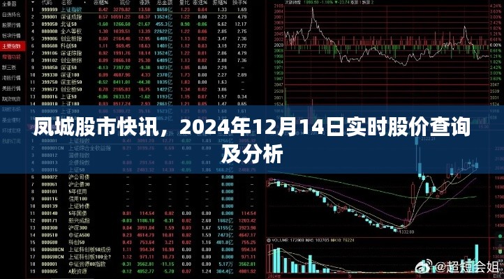 凤城股市快讯，实时股价查询及分析（2024年12月14日）