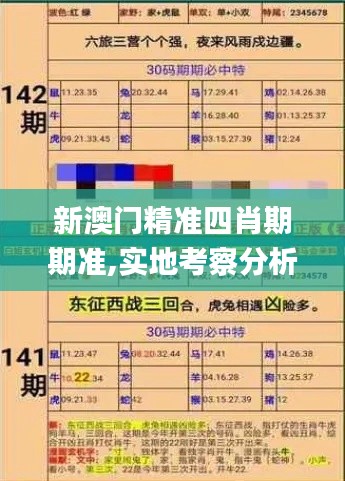 新澳门精准四肖期期准,实地考察分析_V版8.354