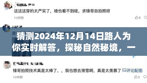 探秘自然秘境的心灵之旅，路人带你领略美景，预测2024年12月14日的精彩解答日