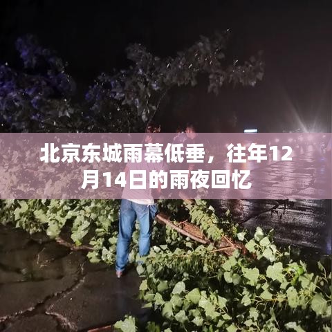 开张圣听