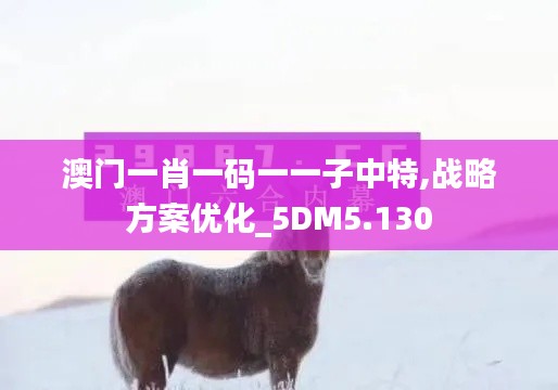 澳门一肖一码一一子中特,战略方案优化_5DM5.130