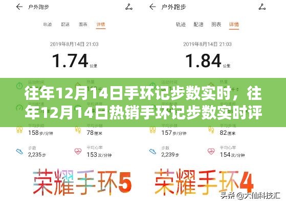 往年12月14日手环记步数全面评测，实时数据、用户体验、竞品对比及用户群体深度分析