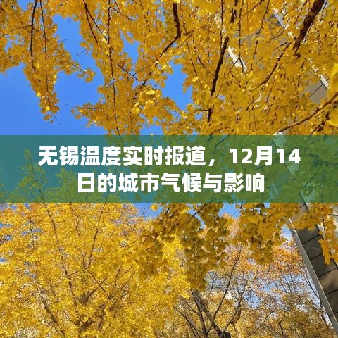 无锡气候实时更新，12月14日气温变化及城市影响分析