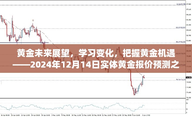 黄金未来展望与机遇，实体黄金报价预测之旅（2024年12月14日）