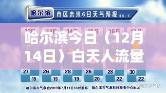 2024年12月17日 第28页