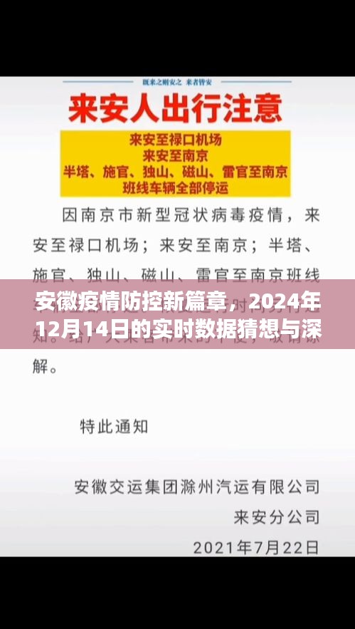 安徽疫情防控新篇章，实时数据猜想与深度洞察报告（2024年12月14日）