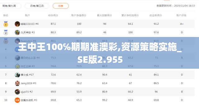 王中王100℅期期准澳彩,资源策略实施_SE版2.955