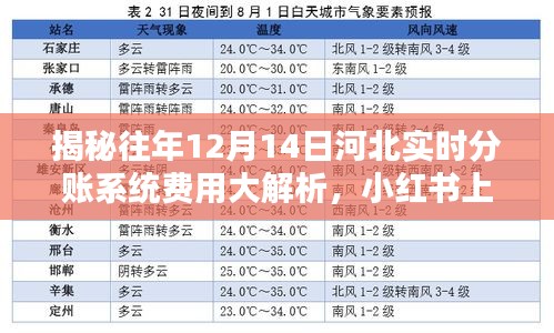 揭秘往年河北实时分账系统费用解析，小红书实用指南！