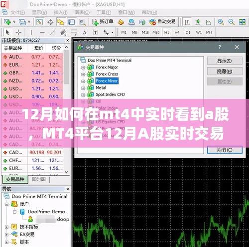 MT4平台实时交易A股体验评测，特性、竞争分析与用户洞察（12月版）