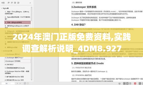 2024年澳门正版免费资料,实践调查解析说明_4DM8.927