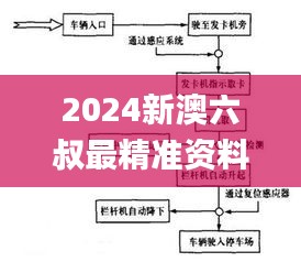 2024新澳六叔最精准资料,实时解答解析说明_Advance7.953