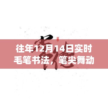 历年十二月十四日毛笔书法舞韵与自信绽放的励志篇章