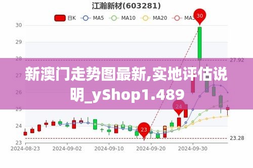 新澳门走势图最新,实地评估说明_yShop1.489