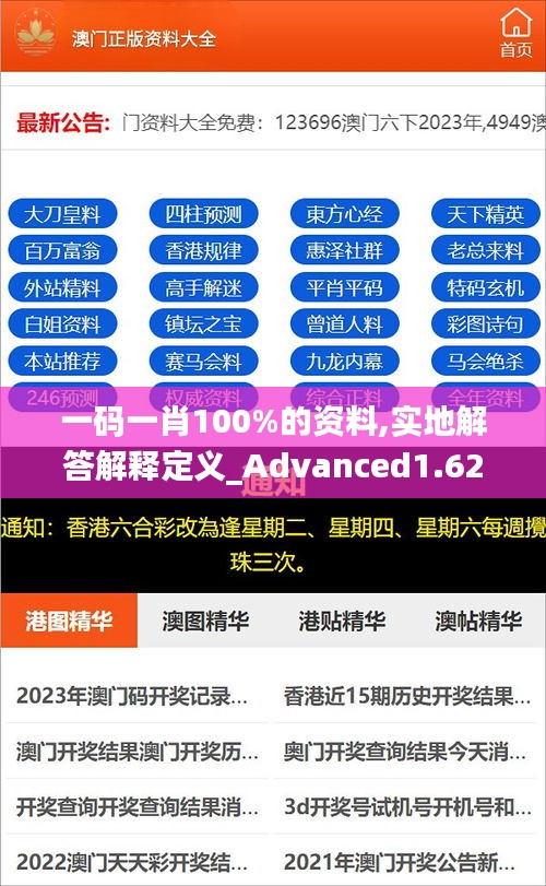 一码一肖100%的资料,实地解答解释定义_Advanced1.626