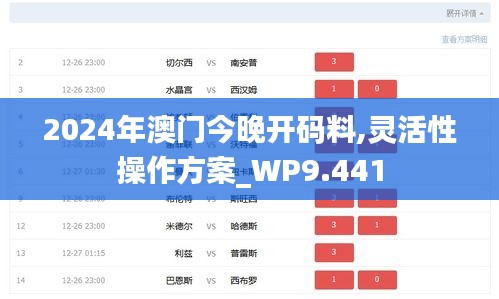 2024年澳门今晚开码料,灵活性操作方案_WP9.441