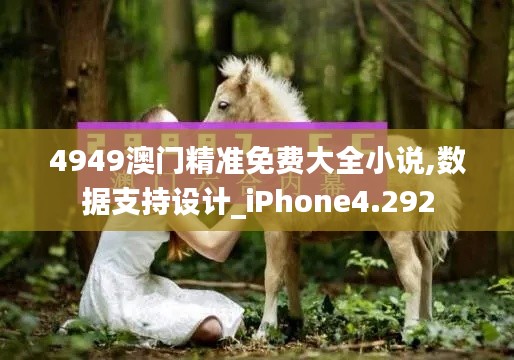 4949澳门精准免费大全小说,数据支持设计_iPhone4.292