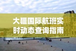 大疆国际航班实时动态查询指南，出发日期为2024年12月14日