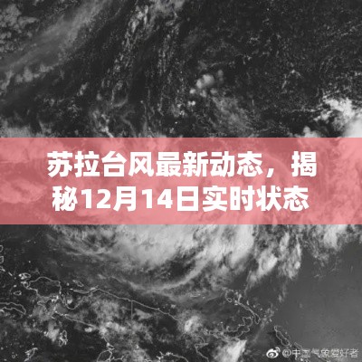 苏拉台风最新动态，揭秘实时状态与图片解析（12月14日更新）