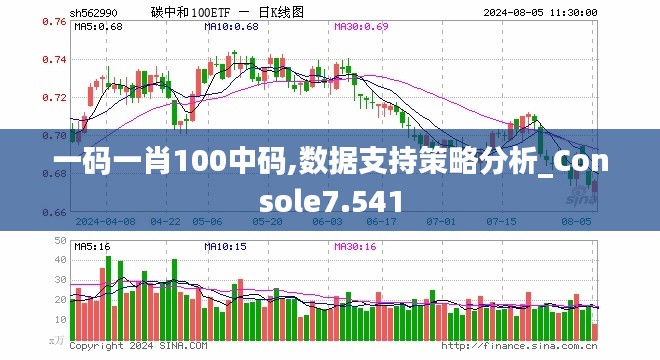 一码一肖100中码,数据支持策略分析_Console7.541