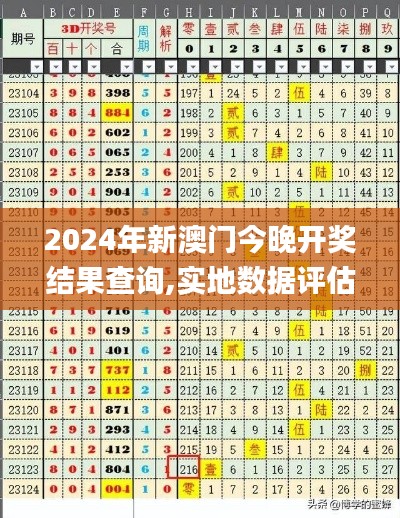 2024年新澳门今晚开奖结果查询,实地数据评估执行_经典款1.779