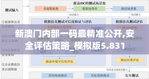 新澳门内部一码最精准公开,安全评估策略_模拟版5.831