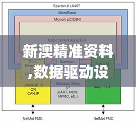 新澳精准资料,数据驱动设计策略_游戏版1.692