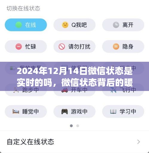 微信状态背后的暖心时光，特殊连接与实时互动在2024年12月14日的特殊意义