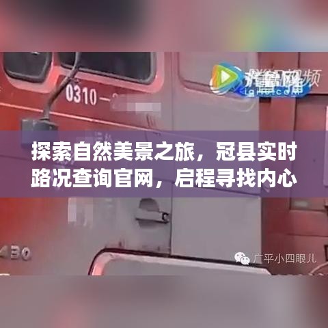 风华绝代