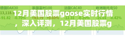 12月美国股票Goose实时行情深度解析与应用指南