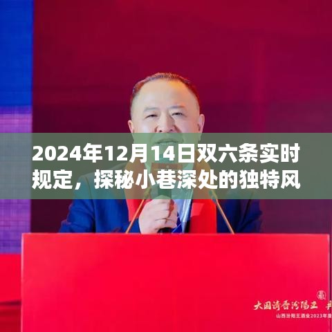 探秘小巷深处独特风味，双六条新规下的惊喜小店之旅（2024年12月14日双六条实时规定）