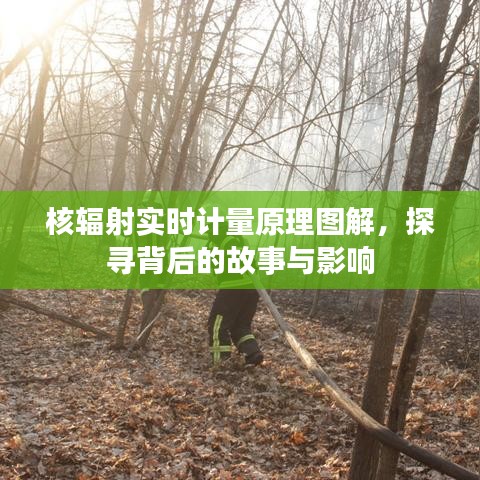 图解核辐射实时计量原理，探寻背后的故事与深远影响