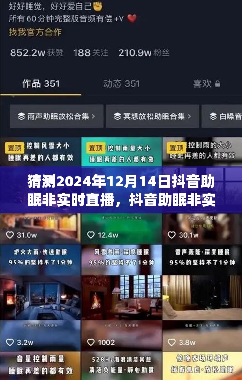 预测未来趋势与挑战，抖音助眠非实时直播展望