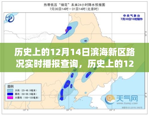 报名 第101页