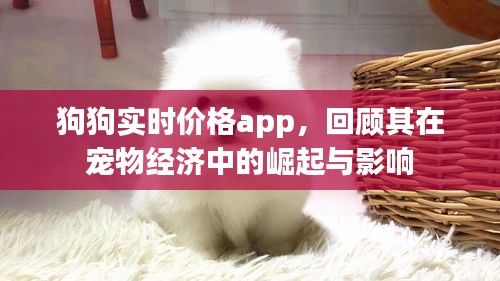 狗狗实时价格app，宠物经济中的崛起与深远影响