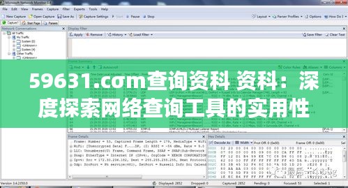 59631.cσm查询资科 资科：深度探索网络查询工具的实用性与效率