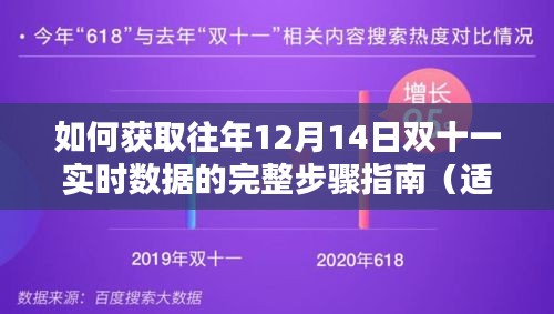 如何获取往年12月14日双十一实时数据的完整指南（初学者与进阶用户适用）