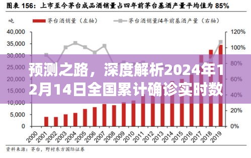 预测之路，全国累计确诊实时数据产品深度解析与评测（2024年12月14日）