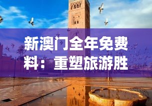 新澳门全年免费料：重塑旅游胜地形象，打造全天候免费娱乐新体验